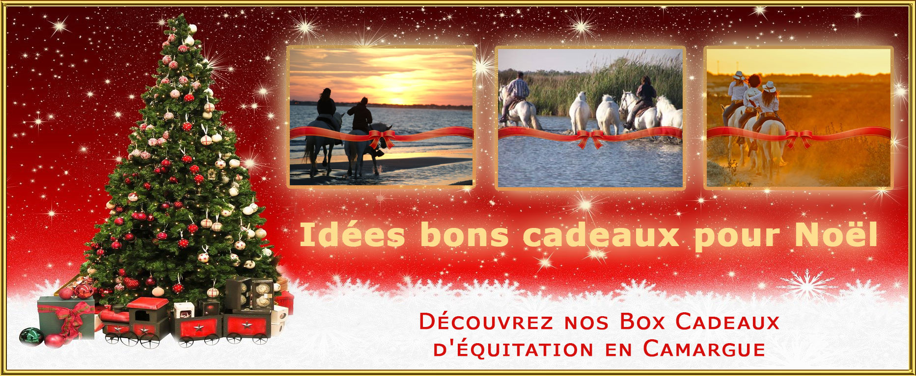 Promenade à cheval en Camargue - Centre équestre & Balade